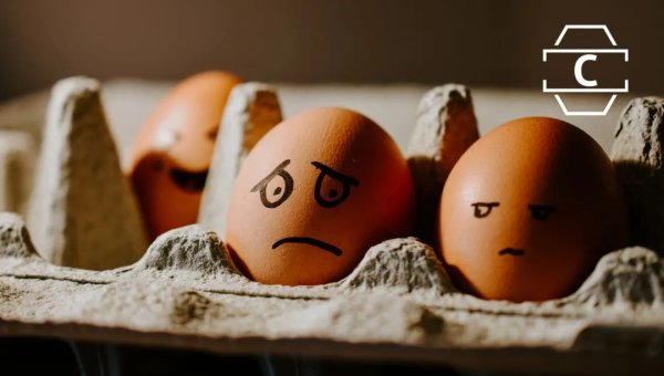 不敢裸辞、降薪跳槽，这个春招有点冷