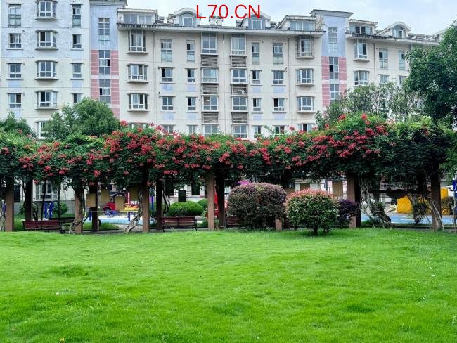 武汉一小区物业费24年未涨价 低价高质造就宜居典范