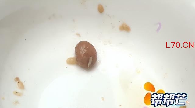 女子投诉元祖粽子吃出虫子 母女遭遇食品安全噩梦