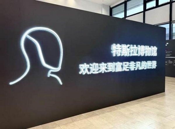 Tesla Bot走进家庭：一场由AI驱动的“富足革命”正在敲门