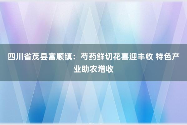 四川省茂县富顺镇：芍药鲜切花喜迎丰收 特色产业助农增收