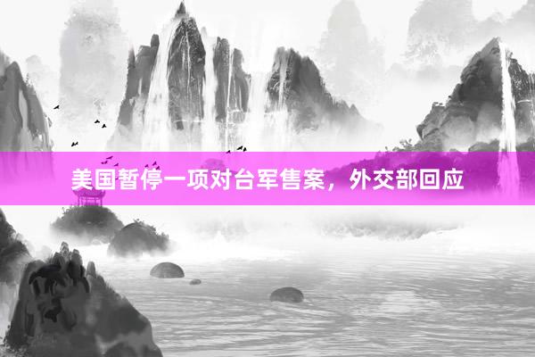 美国暂停一项对台军售案，外交部回应