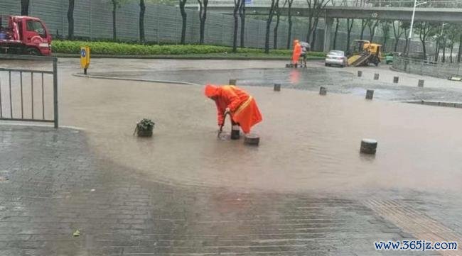 台风后的深圳：锯树 切杆 争分夺秒恢复市容