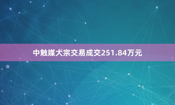 中触媒大宗交易成交251.84万元