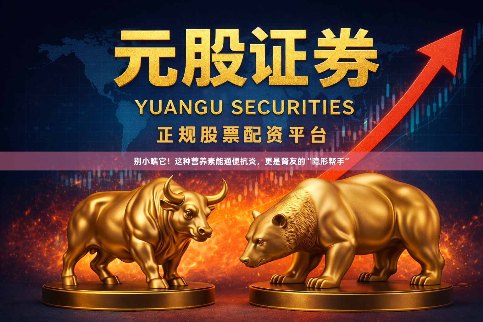 别小瞧它!这种营养素能通便抗炎,更是肾友的“隐形帮手”