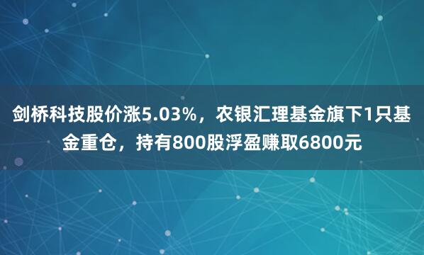 剑桥科技股价涨5.03%，农银汇理基金旗下1只基金重仓，持有800股浮盈赚取6800元