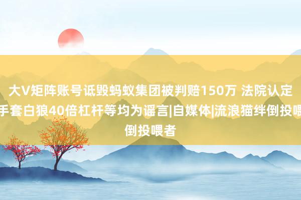 大V矩阵账号诋毁蚂蚁集团被判赔150万 法院认定空手套白狼40倍杠杆等均为谣言|自媒体|流浪猫绊倒投喂者