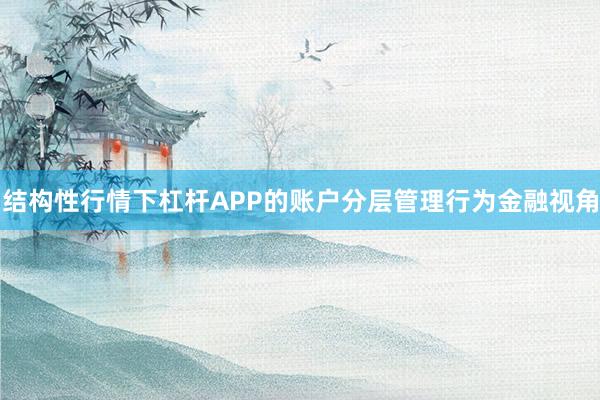 结构性行情下杠杆APP的账户分层管理行为金融视角