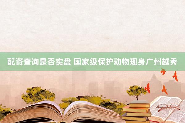 配资查询是否实盘 国家级保护动物现身广州越秀
