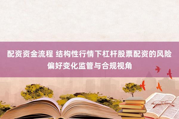 配资资金流程 结构性行情下杠杆股票配资的风险偏好变化监管与合规视角