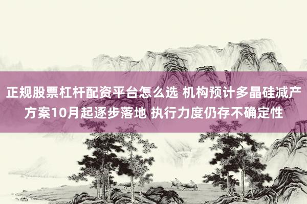 正规股票杠杆配资平台怎么选 机构预计多晶硅减产方案10月起逐步落地 执行力度仍存不确定性